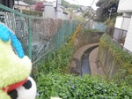 ハイク015
