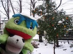 雪1