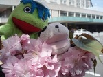花2