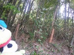 ハイク043