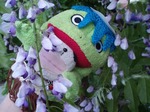 ふじ1