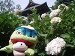 正覚寺2