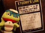 岸倫仔ライブ