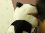耳ガブ