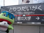 やまめ1