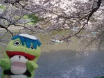 お花見1