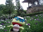 正覚寺2