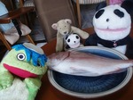 やっくん誕生日会1