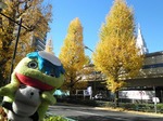 いちょうめぐり4