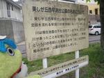 ハイク105