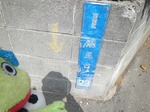 ハイク114