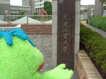 入口