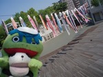 こいのぼり4