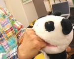 レイラ討ち入り8