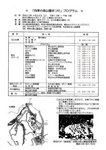 四季の森公園まつり