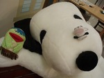 スヌといっしょ1