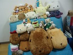 カピバラ王国1
