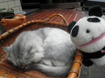 ばどばす16