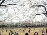 広場2