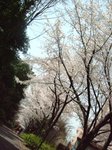 下り坂