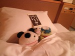 名古屋71