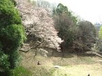 ベンチ右