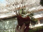 おにぎり